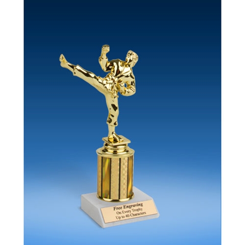 Martial Arts Sport Figure Trophy 8"