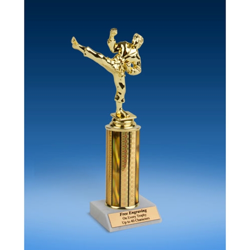 Martial Arts Sport Figure Trophy 10"