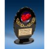 Boxing Oval Black Acrylic Trophy