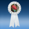 Rugby Participation Ribbon
