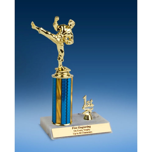 Martial Arts Sport Figure Trim Trophy 10"