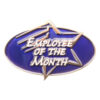 Employee of the Month Achievement Pin