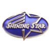 Shining Star Achievement Pin-0