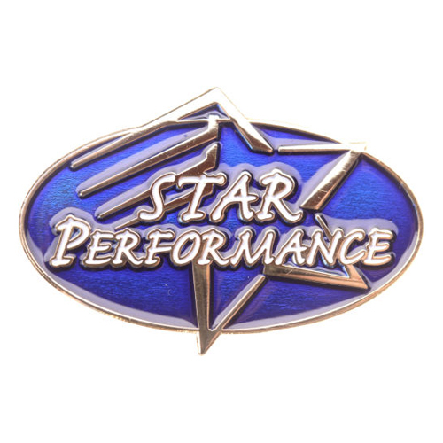 Star Performance Achievement Pin-0