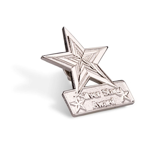 Silver Star Award Lapel Pin