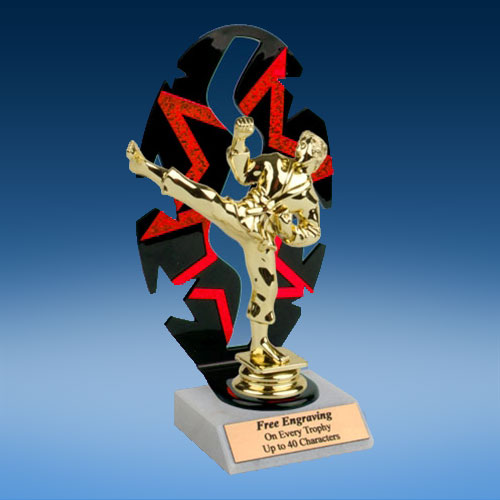 Martial Arts Sport Figure Backdrop Trophy-0