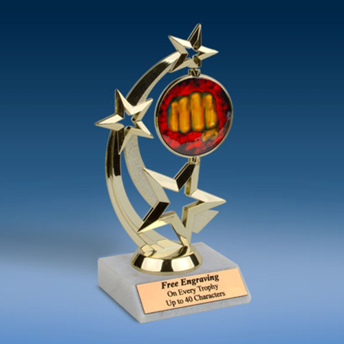 Martial Arts Astro Spinner Trophy-0