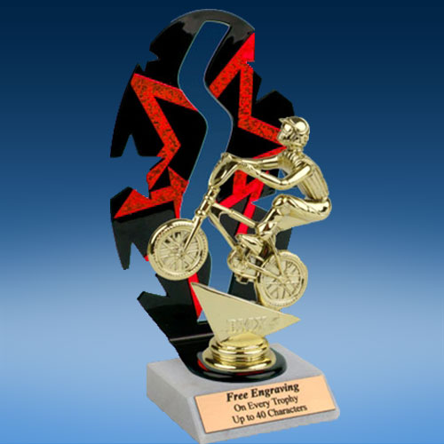 BMX FIGURINE RIDER CYCLING TROPHY WINNER CHEER AWARD FREE ENGRAVING CO24 