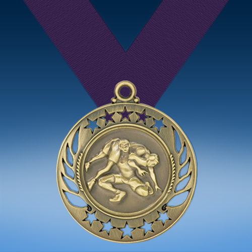 Wrestling Galaxy Medal-0