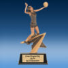 Volleyball FA Star Resin