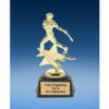 FA Star Baseball Award