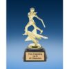 FA Star Softball Award