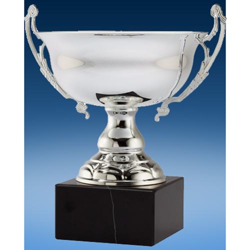 Silver Bowl Corporate Cup