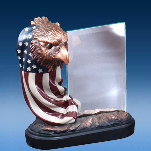 USA Eagle Head and Glass-0