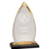 Gold Beveled Oval Impress Award