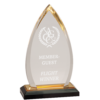 Gold Beveled Oval Impress Award
