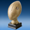 Official Size League Champ Football