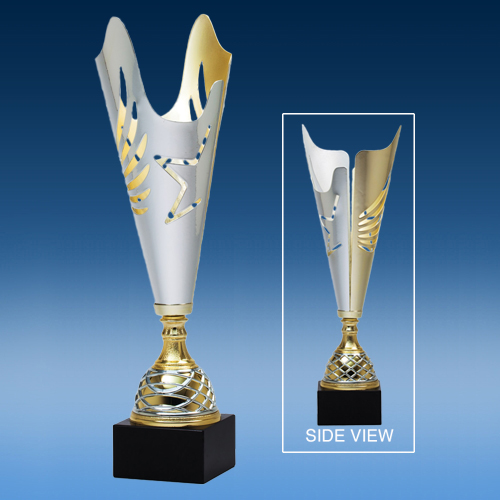 Star Lite Cup Award-0